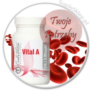 vital a dawkowanie-vital a cena-vital a calivita- dla grupy krwi a-witaminy dla grupy krwi a--naturalne suplementy diety