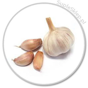 cholestone-czosnek-garlic caps-cholesterol-obni?anie cholesterolu