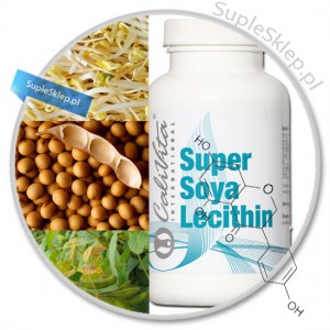 izoflawony sojowe-fitoestrogeny-super soya lecithin-triple potency lecithin-lecithin cena-lecithin dawkowanie-lecithin opinie-właściwości lecytyny-